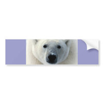 Polar Bear Face Bumper Sticker