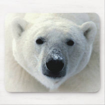 Polar Bear Face Mouse Pads