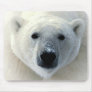 Polar Bear Face Mouse Pads