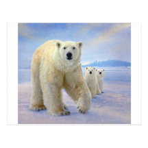 polar bear family on ice postcard