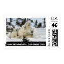 Polar Bear Family postage