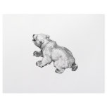 POLAR BEAR flyers