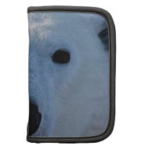 Polar Bear Folio Planner