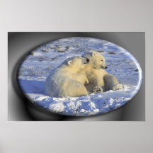 Polar Bear framed print #2