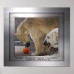Polar Bear in Frame posters