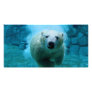 Polar Bear In Water Photo Greeting Card