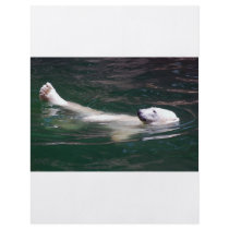 Polar bear just lazing flyer