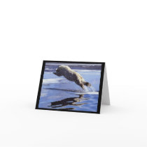 Polar Bear Leap Note Card