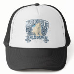 Polar Bear Massachusetts hats