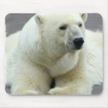 Polar Bear Mouse Pad