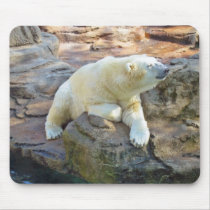 Polar Bear Mousepad