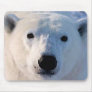 Polar Bear Mousepads