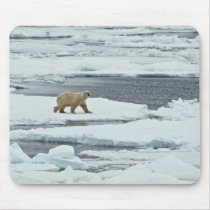 Polar Bear Mousepads