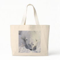 Polar Bear Nap Bag