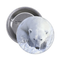 Polar Bear Nap Pin