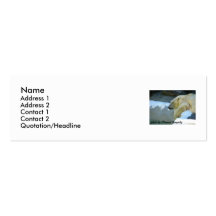 [Polar Bear on a Hot Day] Business Card Template