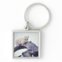 Polar bear on top of a bowhead whale jaw bone, key chain