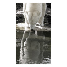 Polar Bear, Part Black and White (7) Business Card Template