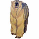 Polar Bear Photo Sculpture Wildlife Art Gifts photo sculptures
