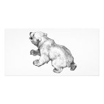 POLAR BEAR photo cards