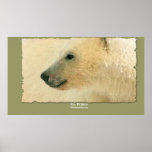 Polar Bear Portrait Art Poster posters