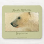 Polar Bear Portrait Collection mousepads