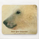 Polar Bear Portrait Collection