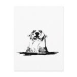 Polar Bear Post Cards