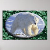 Polar Bear poster #7