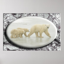 Polar Bear Poster #7