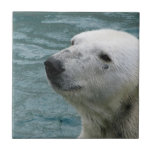 Polar Bear Profile Tile