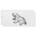 POLAR BEAR rack cards