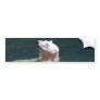 Polar bear resting bumper sticker