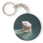 Polar bear resting key chains