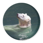 Polar bear resting magnets