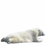 POLAR BEAR (sculpted) Wildlife Magnet photo sculptures