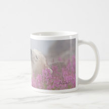 Polar bear sleeping in flowers coffee mugs