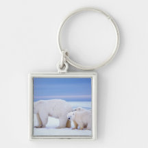 Polar bear sow with cubs on pack ice of keychain