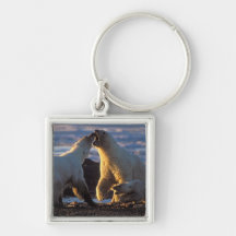 Polar bear sows with cub at side, 1002 coastal key chains