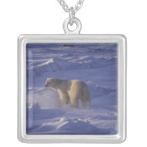 Polar Bear square necklace #8