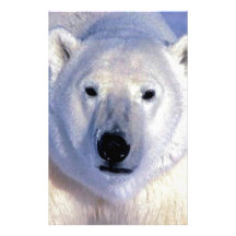 Polar Bear Stationery Design