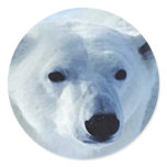 Polar Bear Sticker