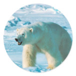 Polar Bear stickers