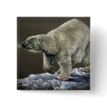 Polar Bear study Pins
