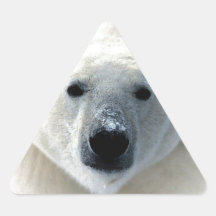 Polar Bear Triangle Stickers
