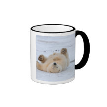 polar bear, Ursus maritimus, cub rolling 3 Mugs