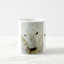 polar-bear, Use for, HOT drinks, It's freezing ... Mugs