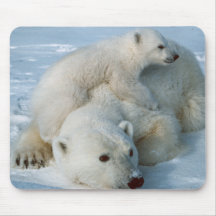 Polar_bear_with_cub Mouse Mats