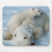 Polar_bear_with_cub Mouse Mats