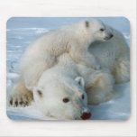 Polar_bear_with_cub mousepads